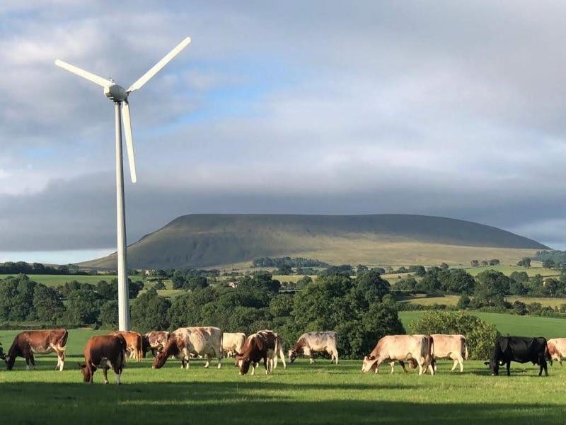 Our grass-fed beef comes from organic cows which roam freely on the grassy hills of Pendle